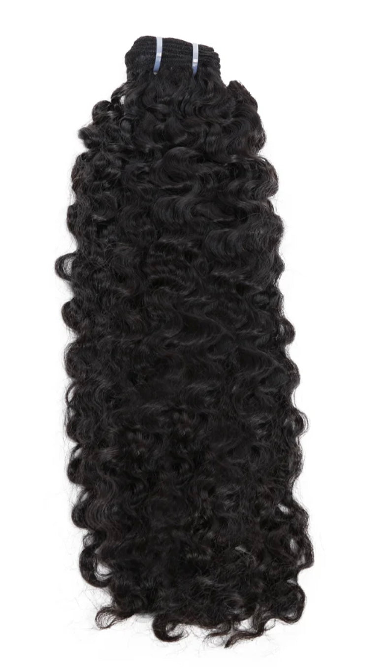 Virgin Burmese Bundles