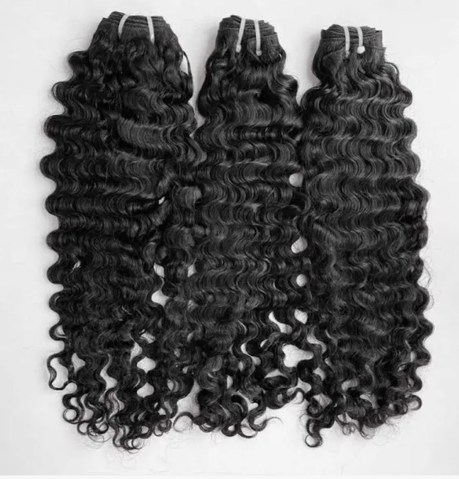 Virgin Burmese 3 bundle deals